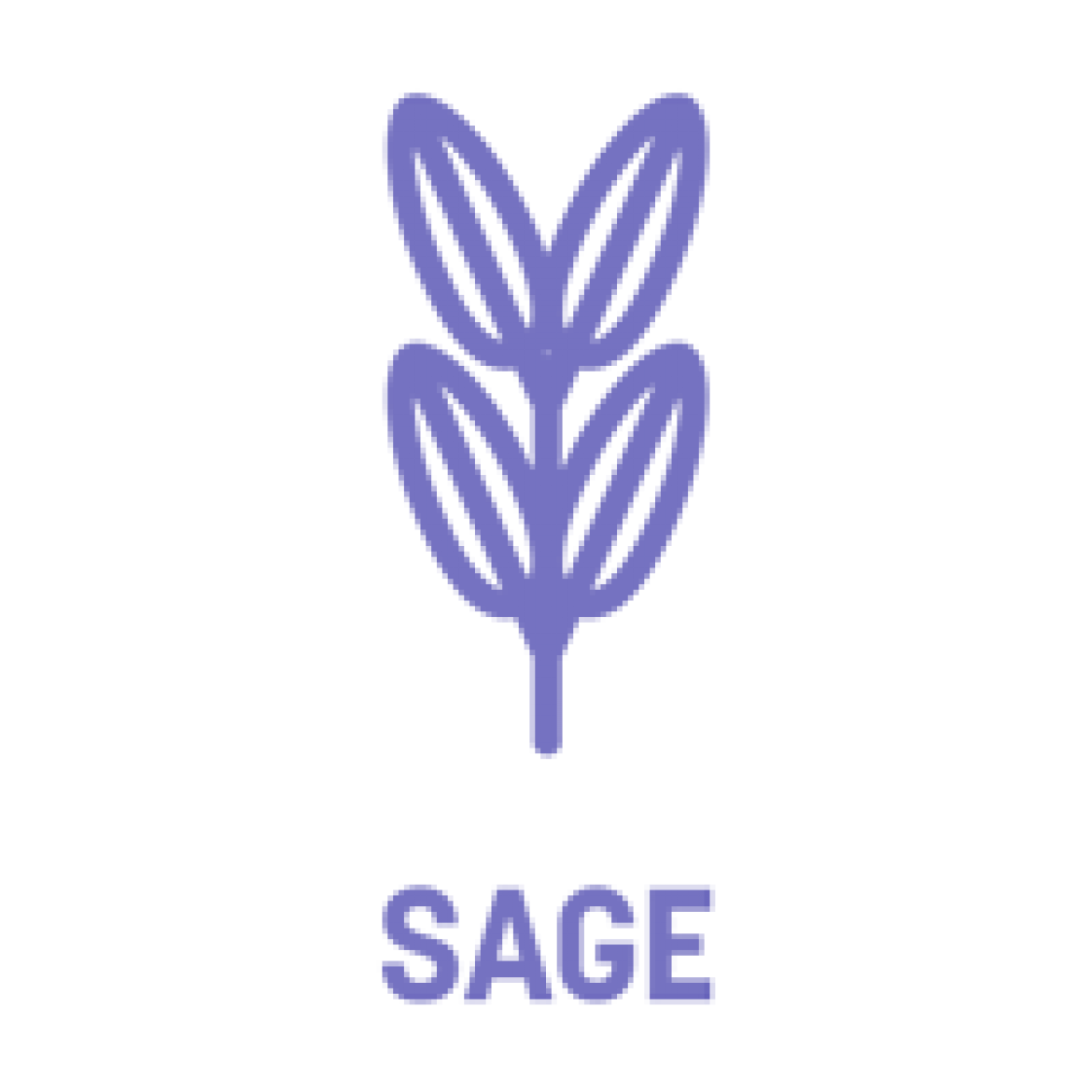 sage-flavor-1.png