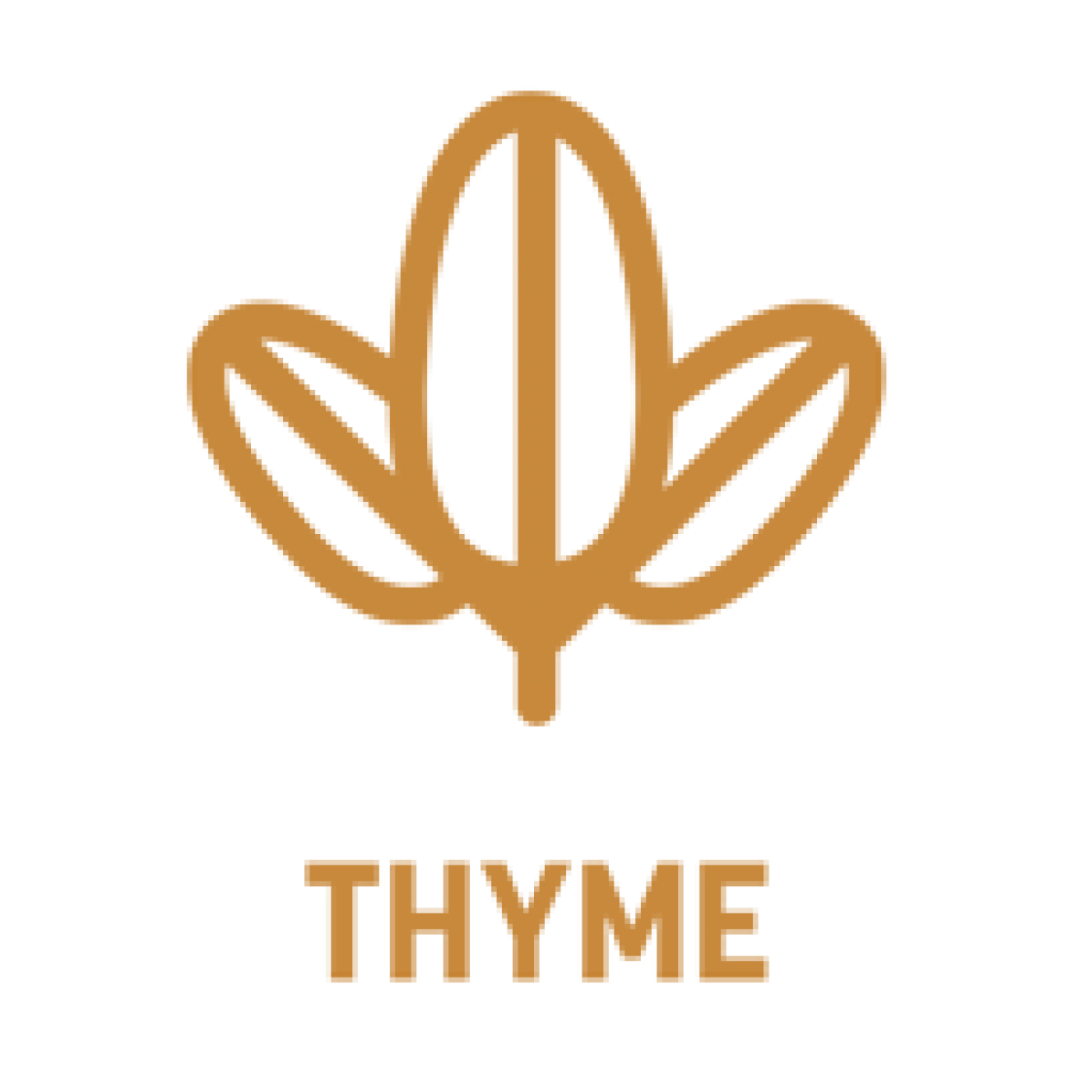 thyme-flavor-1.png